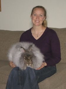 Perseus1yr_8