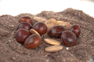 buttons on swatch for cardigan